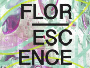 DVD du concert du groupe Son’O’Rythme « Efflorescence »